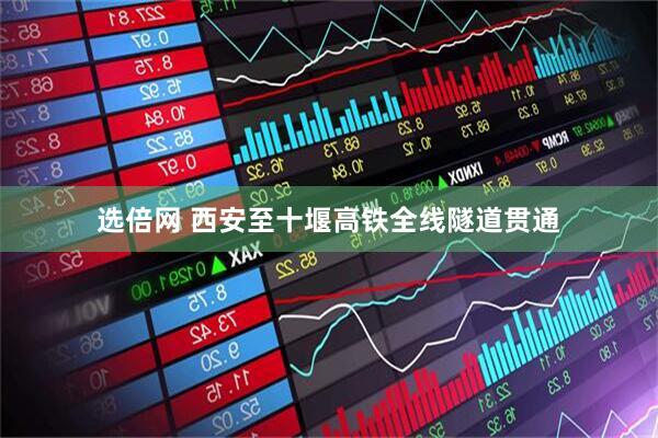 选倍网 西安至十堰高铁全线隧道贯通
