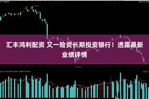 汇丰鸿利配资 又一险资长期投资银行!透露最新业绩详情