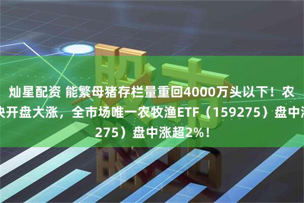 灿星配资 能繁母猪存栏量重回4000万头以下！农牧渔板块开盘大涨，全市场唯一农牧渔ETF（159275）盘中涨超2%！