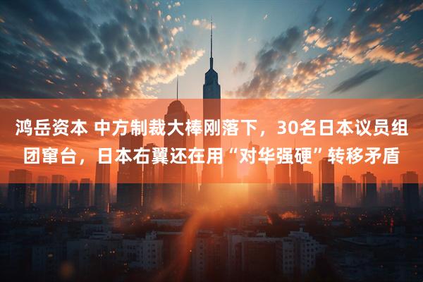 鸿岳资本 中方制裁大棒刚落下，30名日本议员组团窜台，日本右翼还在用“对华强硬”转移矛盾